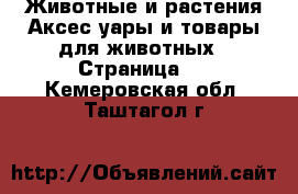 Животные и растения Аксесcуары и товары для животных - Страница 2 . Кемеровская обл.,Таштагол г.
